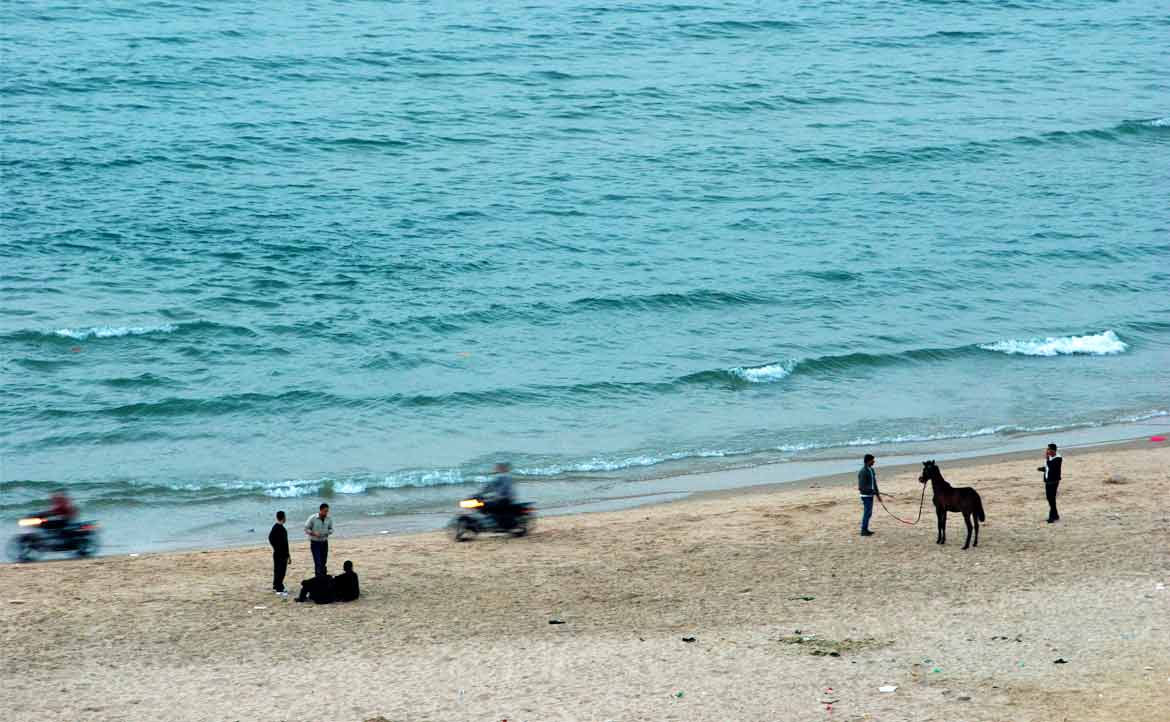 【一頁阿拉伯】在藍色加薩，家園富有魔法、溫柔就是抵抗