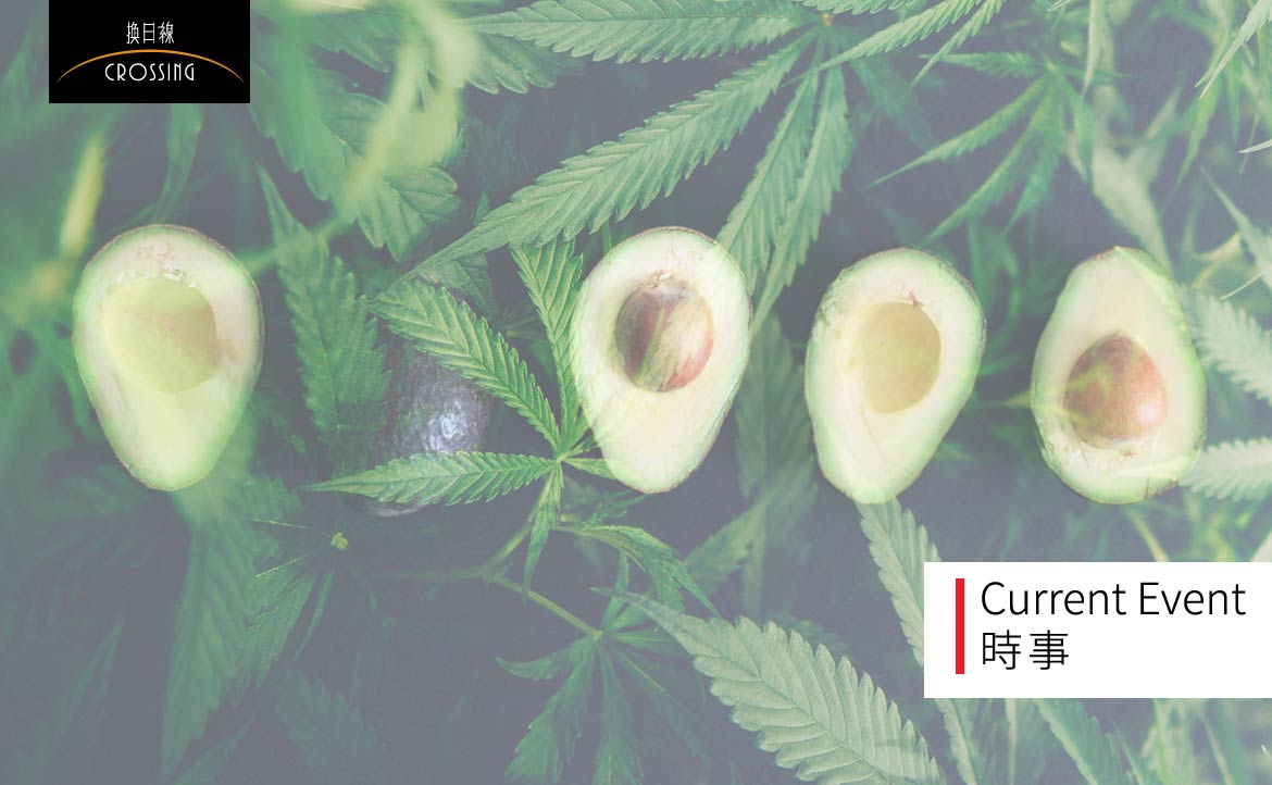 【販毒集團的「企業轉型」之路】大麻合法了？兼賣水果吧！看準美國商機，毒梟暴力收穫「血酪梨」