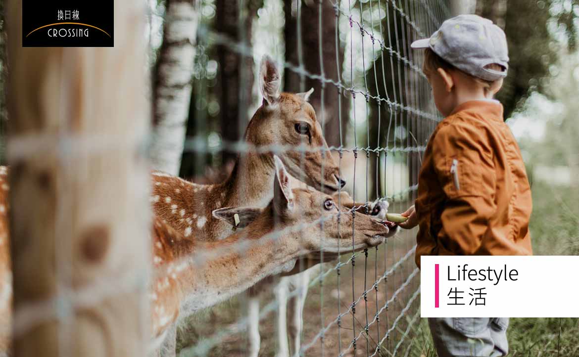 我們需要怎樣的動物園？──凝視動物園的意義與精神