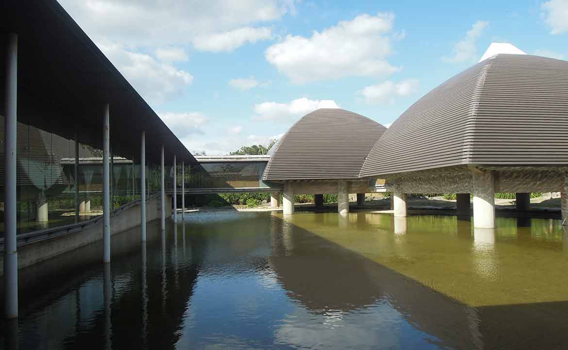從沖繩縣與奄美群島的合作交流，看國旅中的「離島觀光」