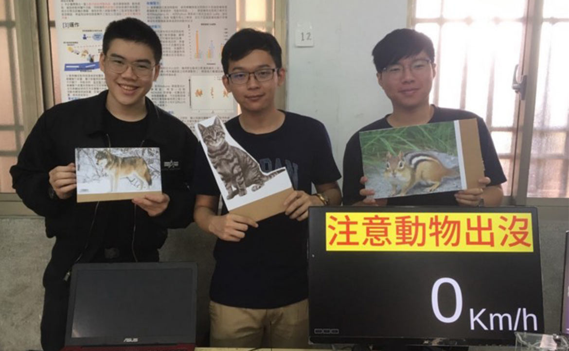 愛貓教授跨部會合作，為「路殺」石虎找活路──「只要是用路人，我們都有責任保護牠」