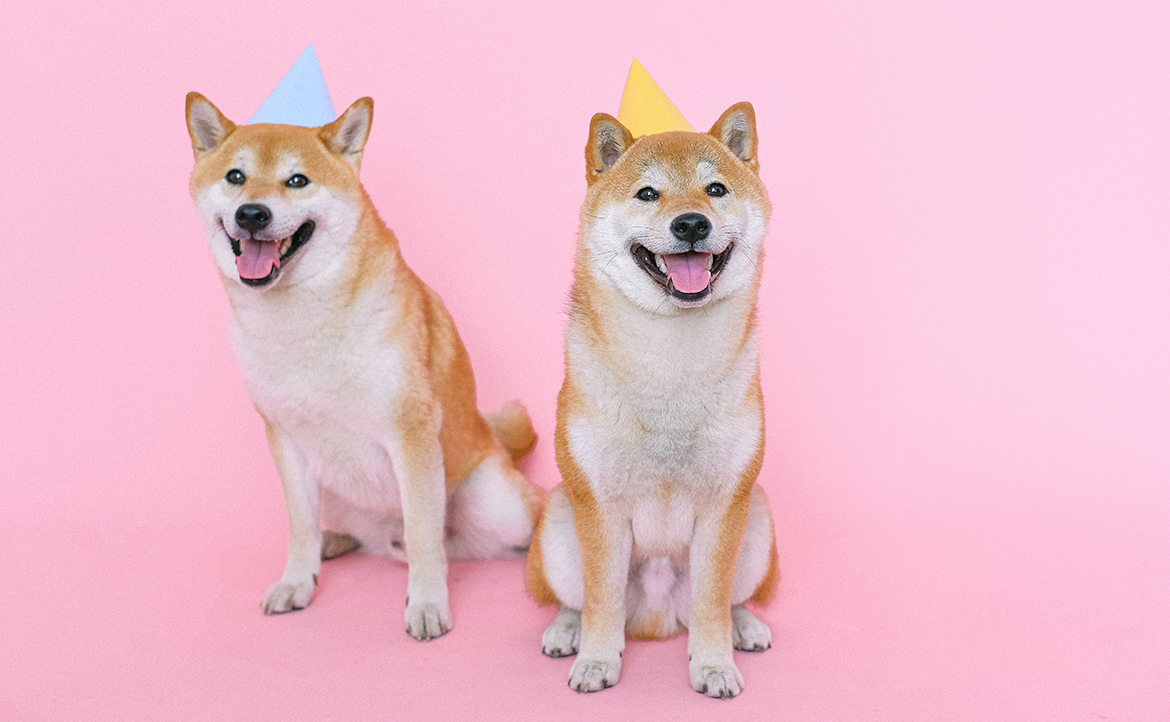 【另類生活指南】從「除毛之日」到「狗狗之日」──這 12 個日本節日讓人好吃驚！
