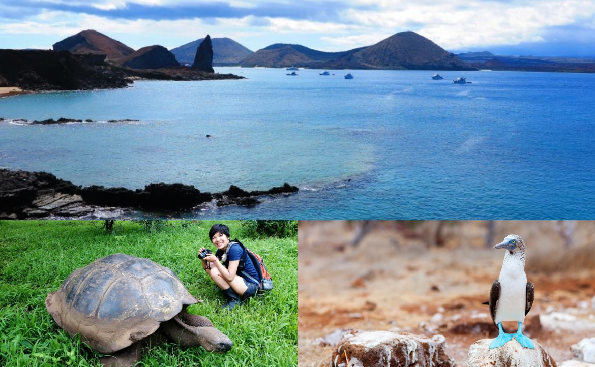 跟隨達爾文的腳步──動物海島天堂「加拉巴哥群島」，讓我學到的一課