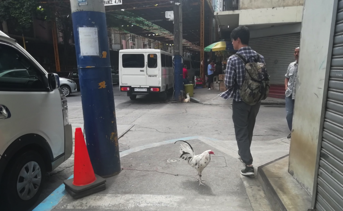 為何出差馬尼拉，讓我更珍惜現在的生活？