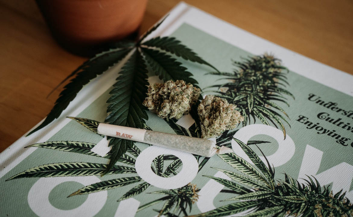【大麻合法化】德國大麻使用量連年創新高，擬將允許使用與販售娛樂用大麻