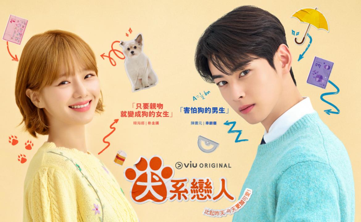 一週一集真的很傷？從韓劇《犬系戀人》反思播出策略與何謂「成功」