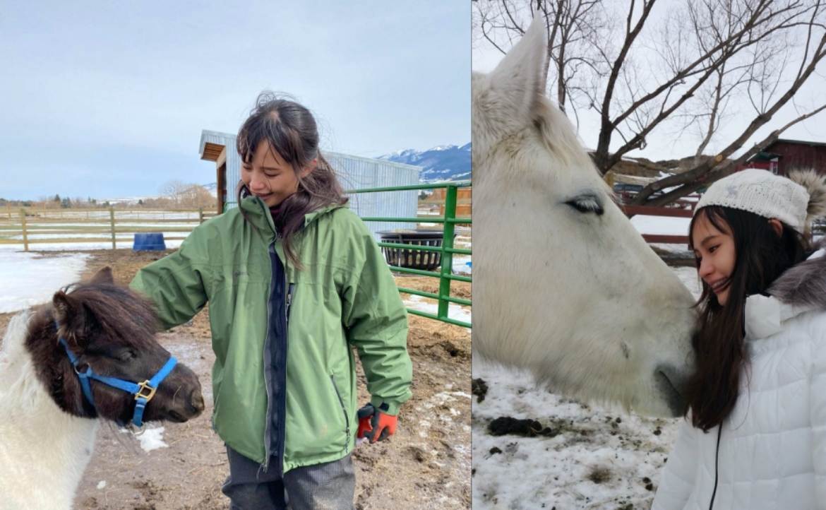 另類「心理療癒師」：差點變成狗罐頭的馬兒，如何幫助人類走出憂鬱？