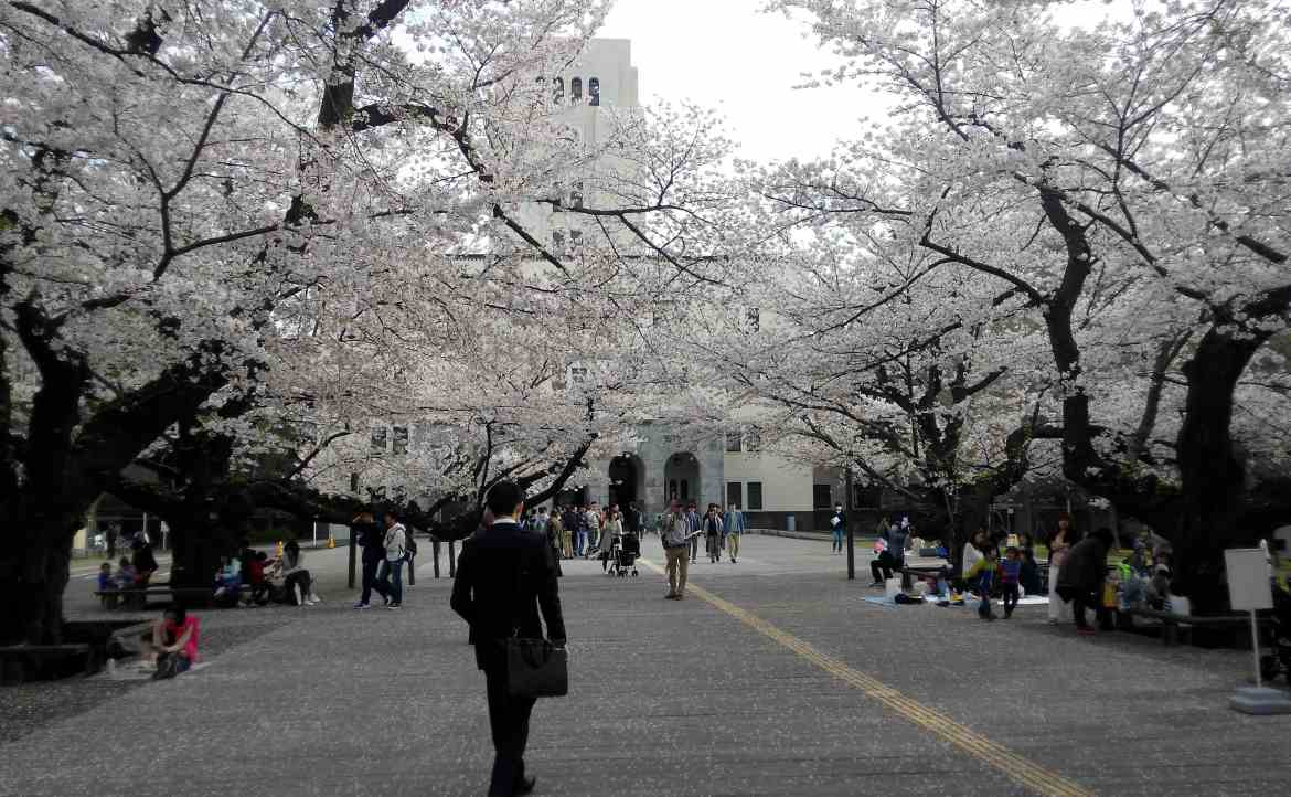 「都讀博士了，還要做一年交換生嗎？」談談令我「改觀」的日本東工大經歷