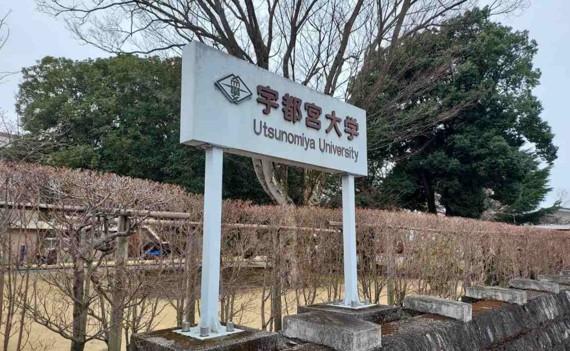 中年出走教戰手冊（三）破解「日本交換留學」語言檢定、選校迷思、選課祕訣