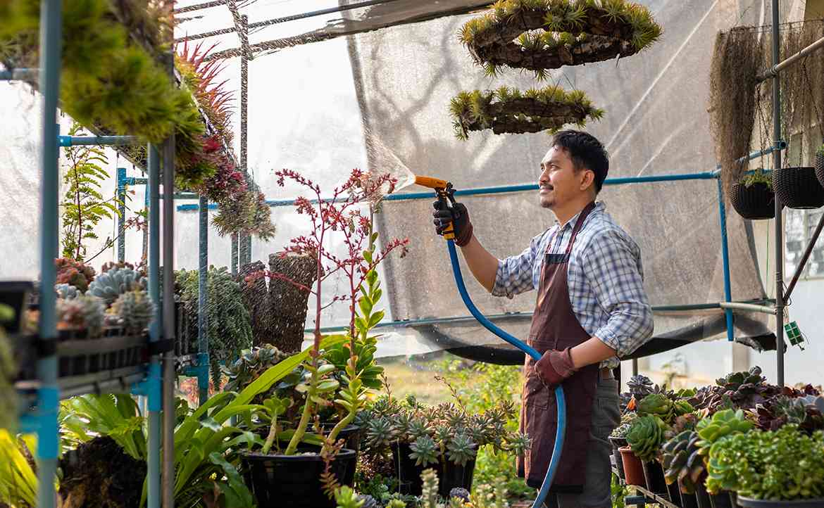 菜價太高怎麼辦？我在紐西蘭靠「開心農場」省錢，竟意外收穫不同生活美學