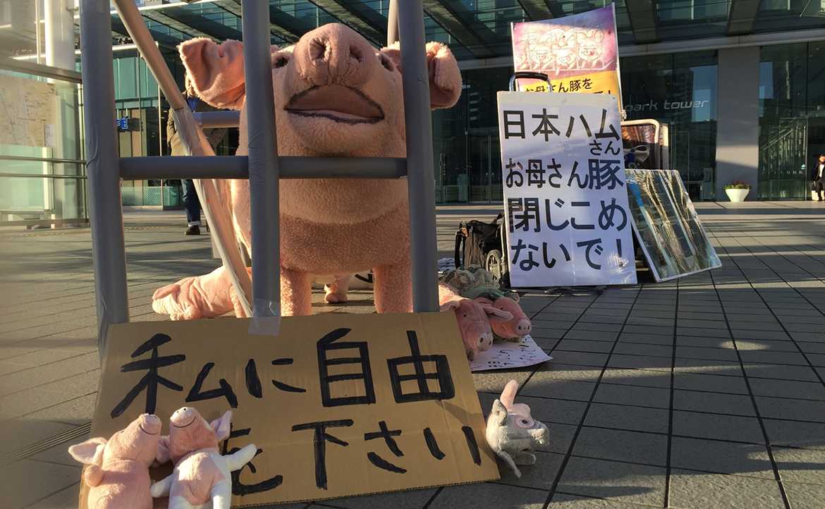 全球先例！瑞士強制食品揭露「動物痛苦」，為何這是消費者無法再忽視的權利？