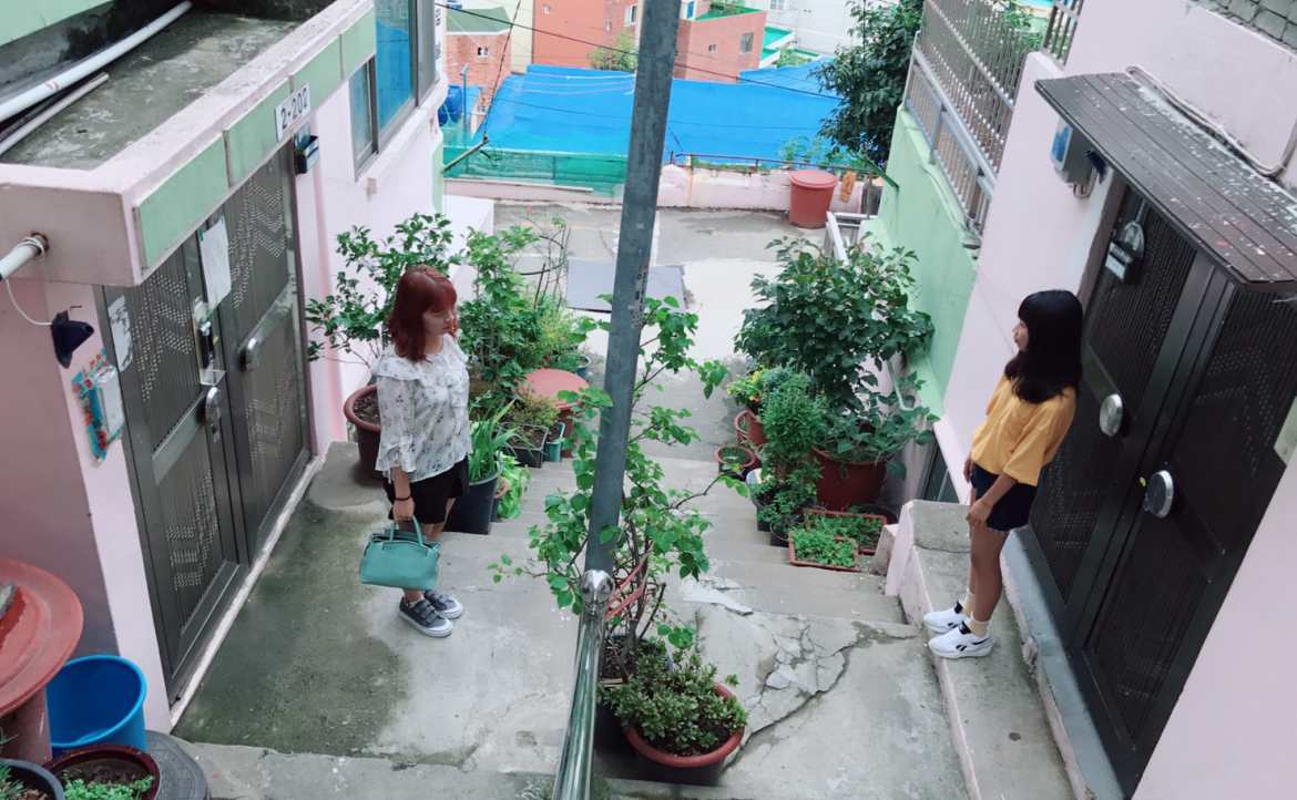打工換宿值得嗎？過來人真心話：沒有薪水、付出勞力的我究竟「換」到什麼？