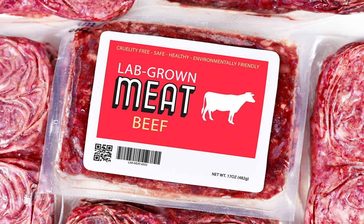 我在以色列，研究「細胞培養肉」5 年：未來食品的挑戰，遠比新聞標題複雜得多