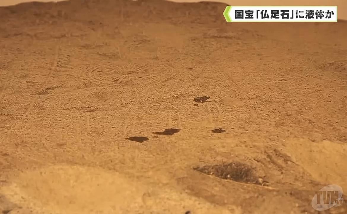 從台灣藝人「對國寶潑油」事件談起：去日本旅遊，哪些文化界線不要踩？